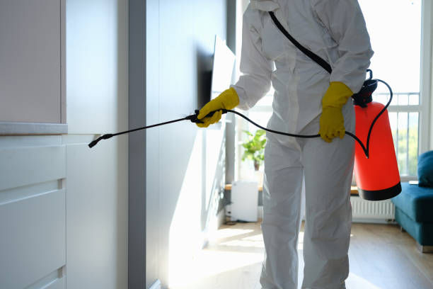 Best Kitchen Mold Remediation in Lovell, WY